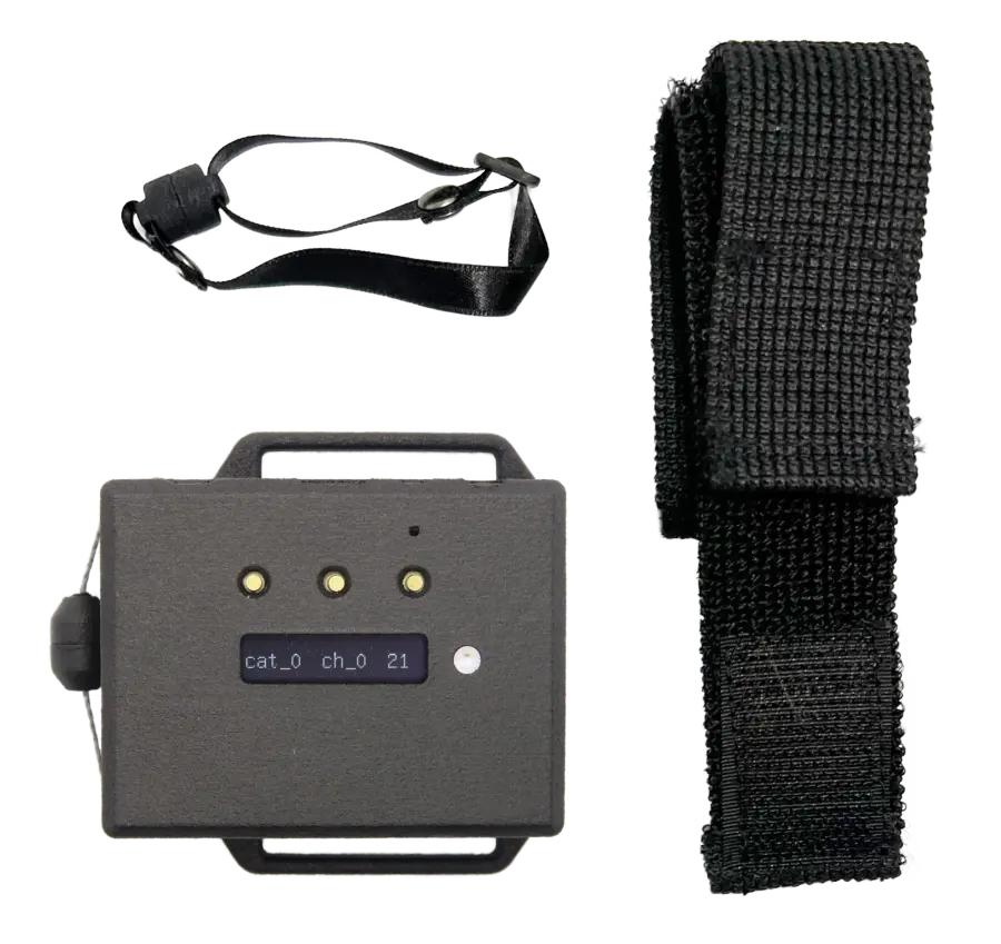 Appearance of wearing Band Wireless