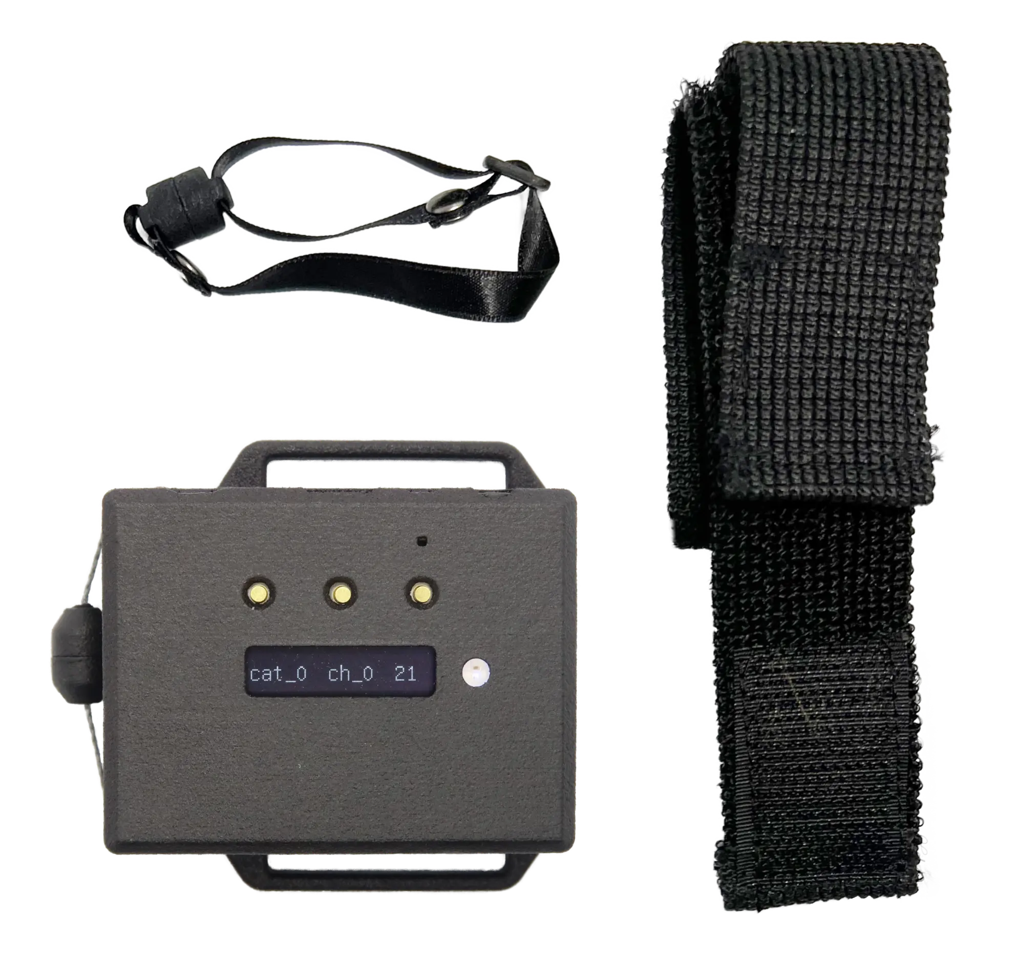 Band Wireless 外観